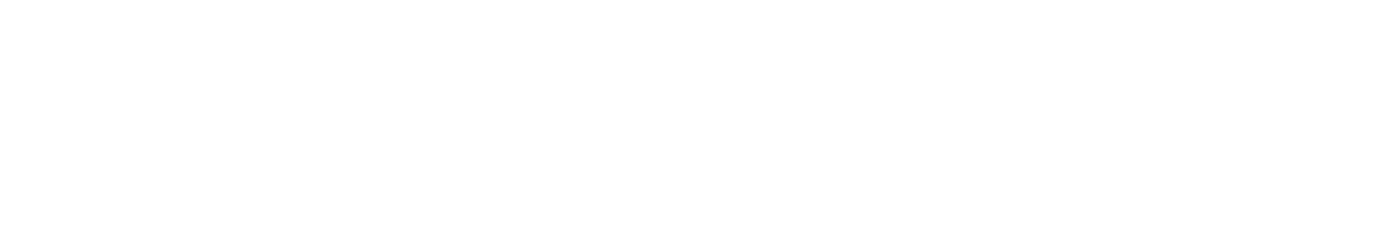 Workshop & Interview